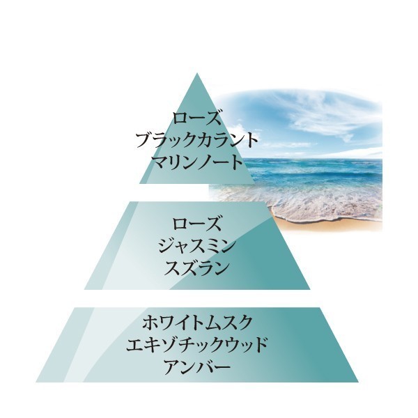 オーシャン（海をイメージした人気のあるさわやかな香り）
