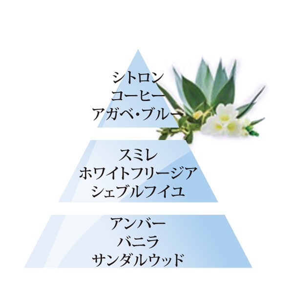 MB ジョイ・オールドピンク+アガベスガーデン450ml 3AP芯（フリージア、シトロンなどの贅沢で、華やかな香り） Joy・pink+Garden of agaves250ml