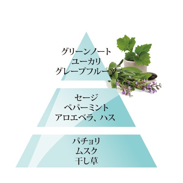 エターナル (透明感のあるアロエグレープからウッディーな香り）